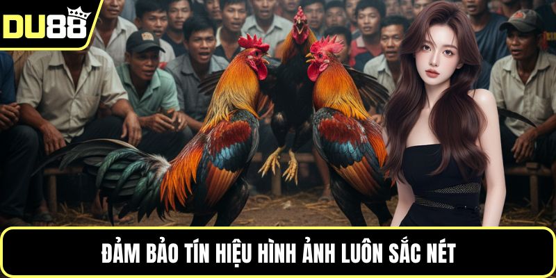 Đảm bảo tín hiệu hình ảnh luôn sắc nét