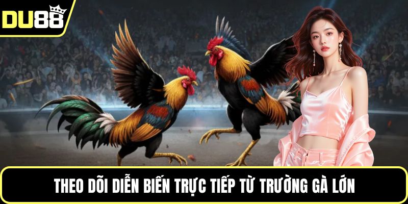 Theo dõi diễn biến trực tiếp từ trường gà lớn
